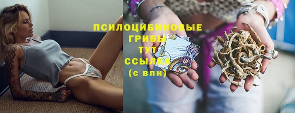 ECSTASY Баксан