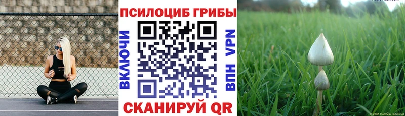 Галлюциногенные грибы прущие грибы  Голицыно 